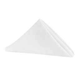 20x20 Polyester Napkin (10 pack)  White