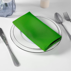 17x17 Polyester Napkin (10 pack)  Emerald Green